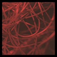 a close up image of a red wire
